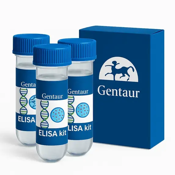 ELISA Recombinant Mycobacterium tuberculosis UPF0060 membrane protein TBFG_12657 (TBFG_12657)